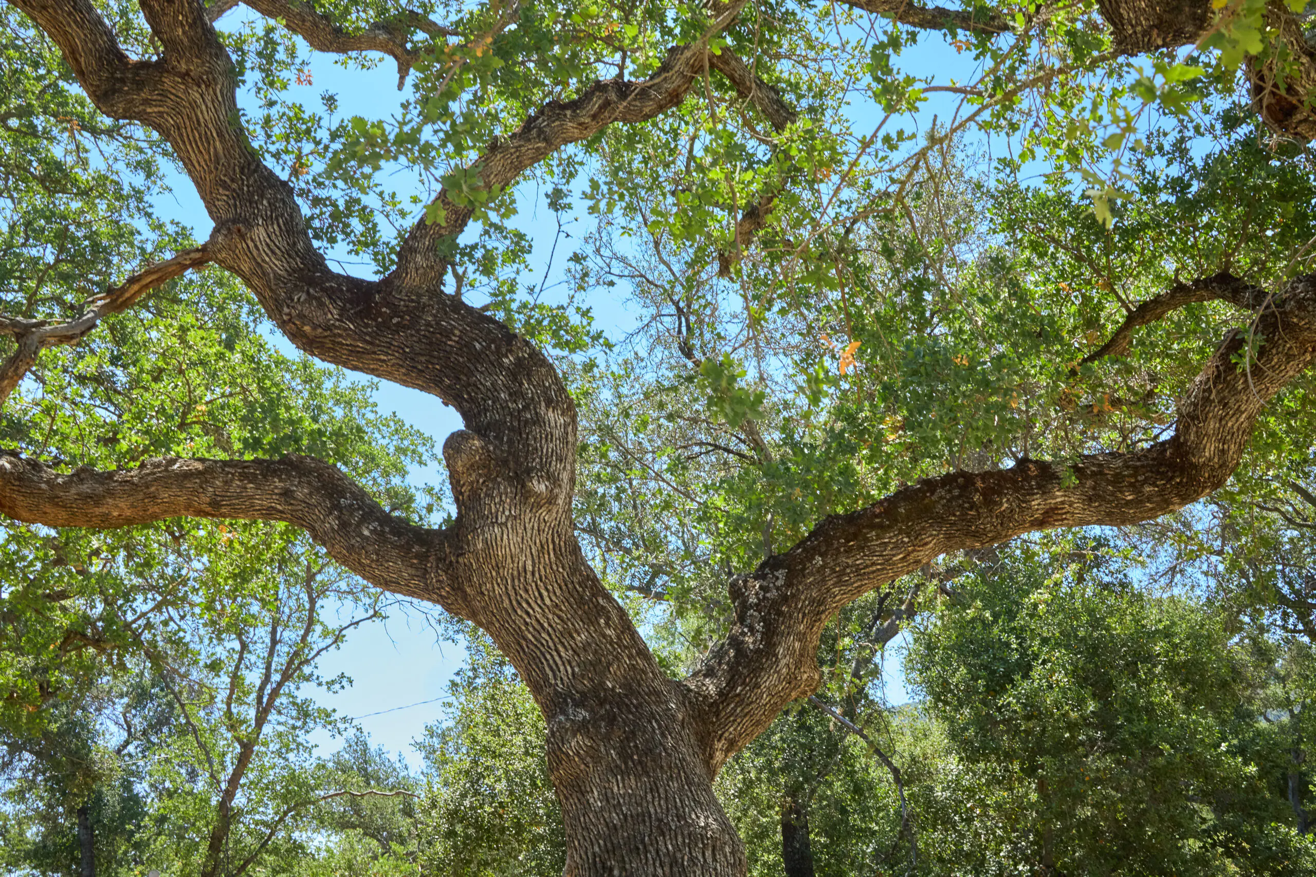 AdobeStock_1549525705